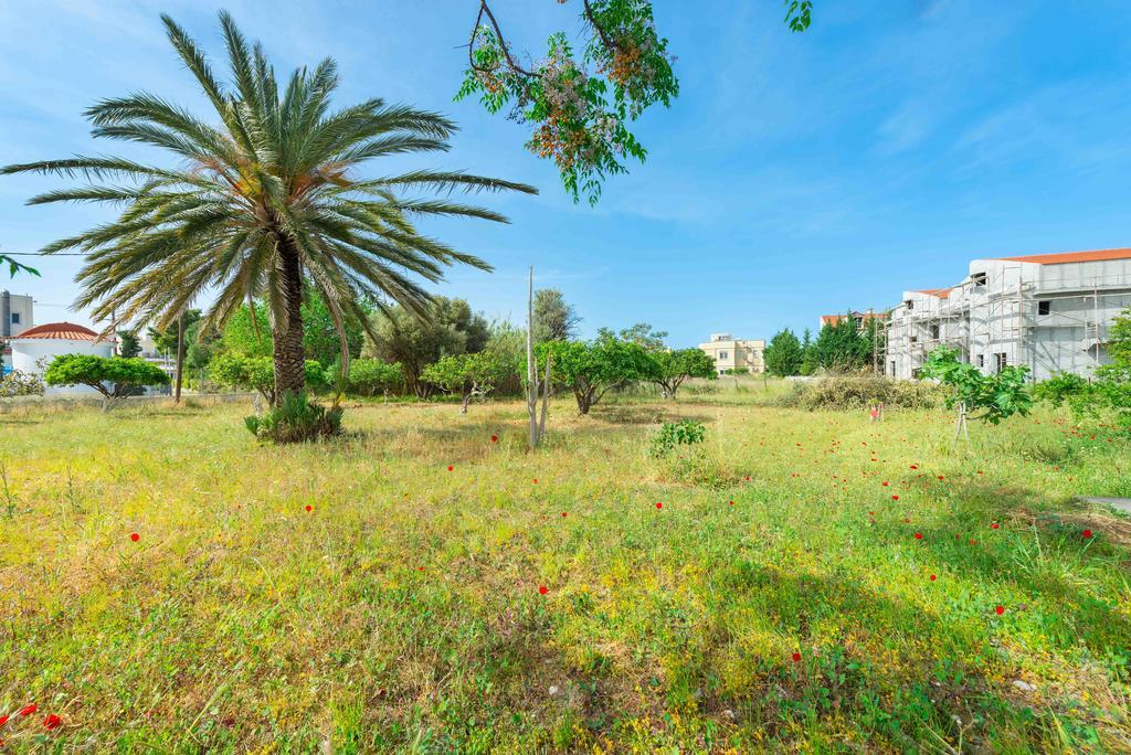 Villa Agia Paraskevi 伊利索斯 外观 照片